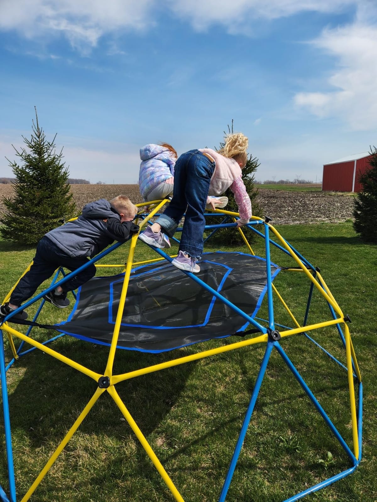Hapfan 10 ft Climbing Dome with Hammock and Swing Seat customer photo 2