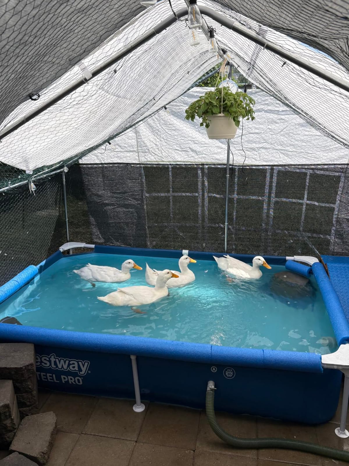 Bestway Steel Pro 9.8' x 6.6' x 26