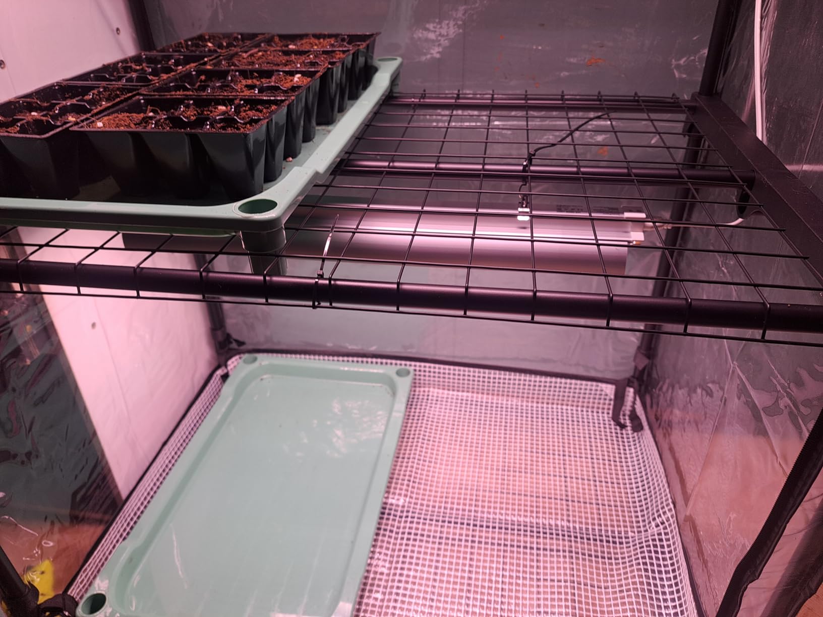 Indoor Greenhouse with Grow Light,4-Tier Plant Shelf, 30x14x59in customer photo 1