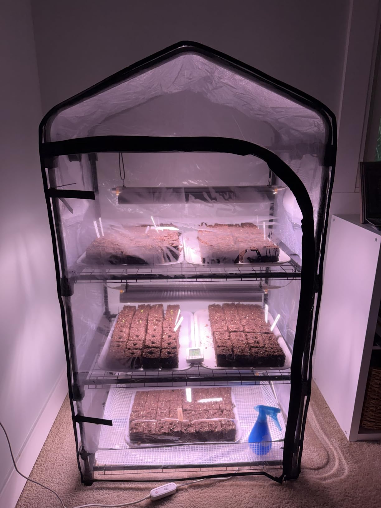 Indoor Greenhouse with Grow Light,4-Tier Plant Shelf, 30x14x59in customer photo 2
