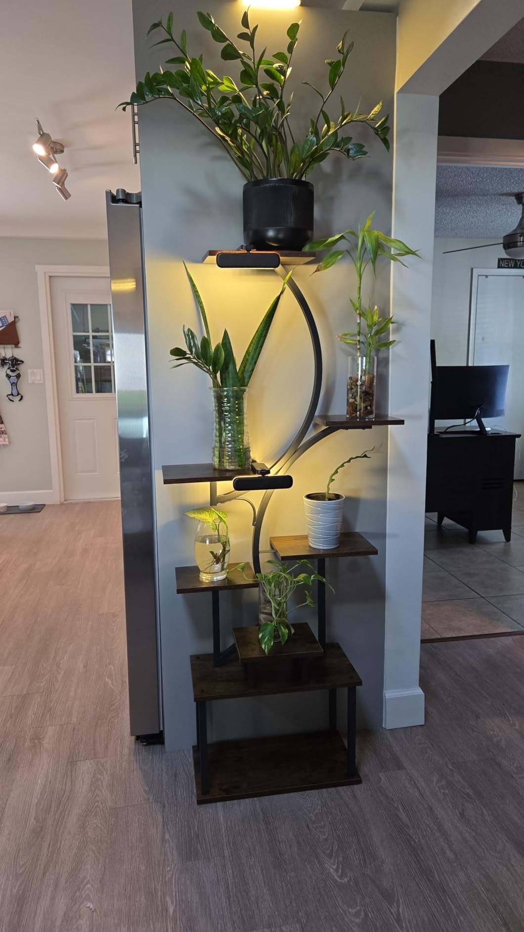 BACEKOLL Plant Stand Indoor with Grow Light, 8 Tier Corner Plant Shelf Tall customer photo 1