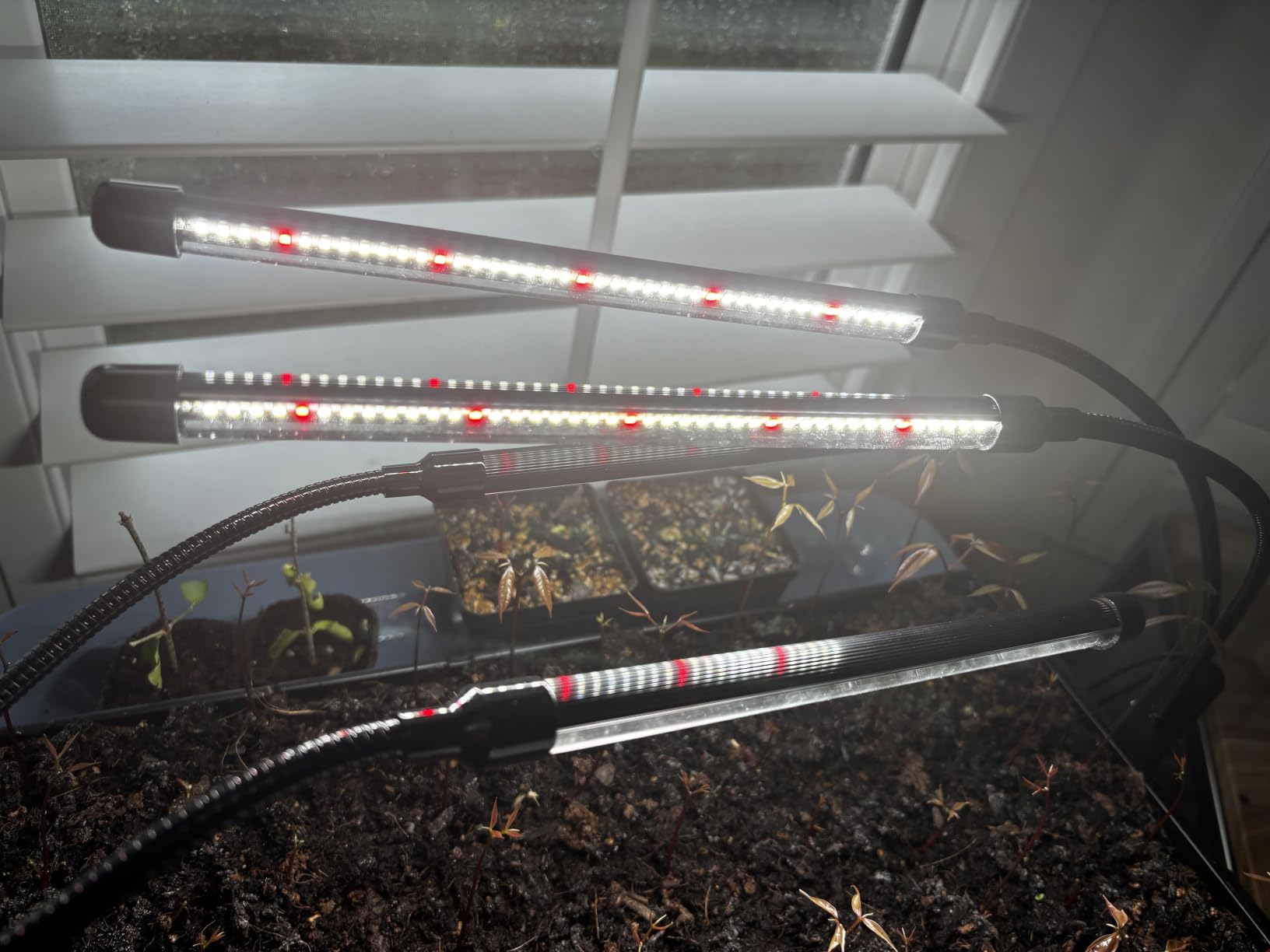 Black Grow Lights for Indoor Plants, 168 LEDs Clip Plant Lights, Full Spectrum LED Plant Growing Lamps with Flexible Gooseneck 4/8/12/18H Timer, 3 Spectral Modes, 10 Dimmable Levels, 2Head x 2 Pack customer photo 1