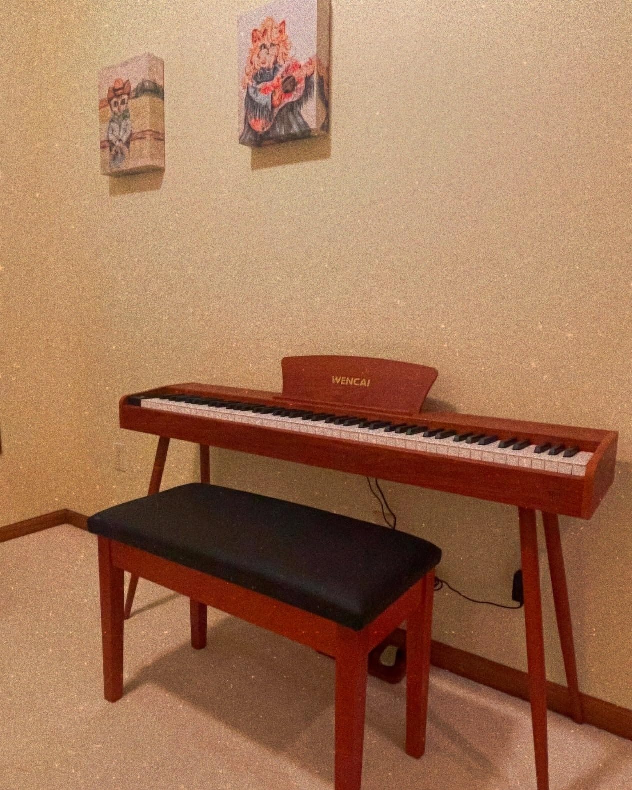 WENCAI Digital Piano 88-Key Fully Weighted Keyboard customer photo 2