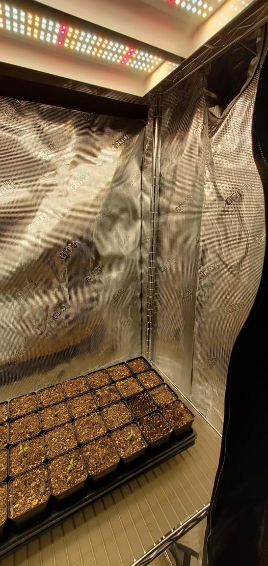4x4 Fixed Height Indoor Grow Tent, 6'11