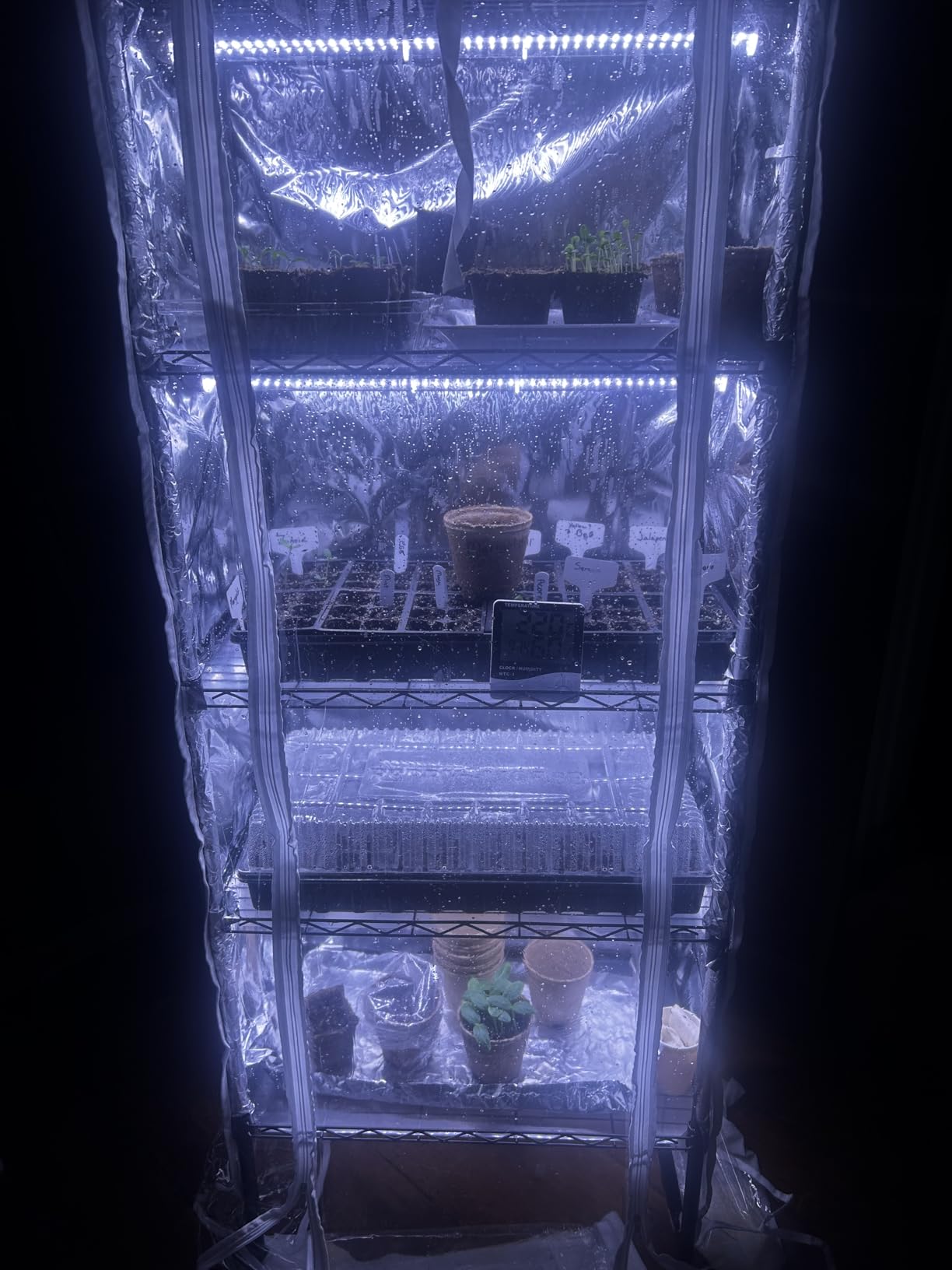 Indoor Greenhouse with Grow Lights with 72W , 5 Tier 23.2