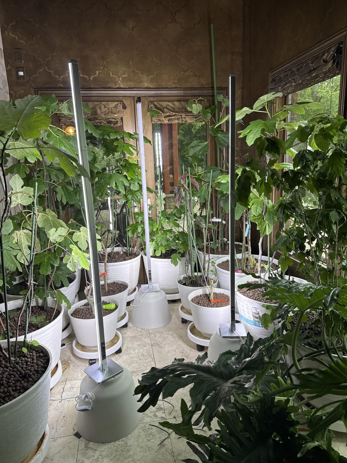 GLOWRIUM 60in Standing Grow Light, Vertical Grow Lights for Indoor Plants customer photo 1
