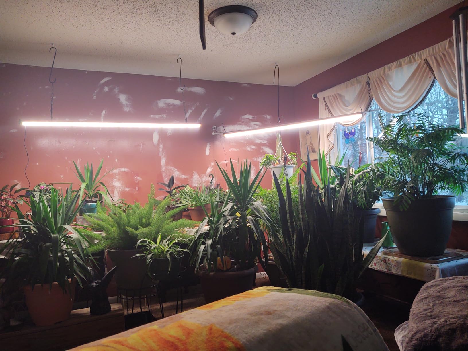 GLOWRIUM 60in Standing Grow Light, Vertical Grow Lights for Indoor Plants customer photo 2