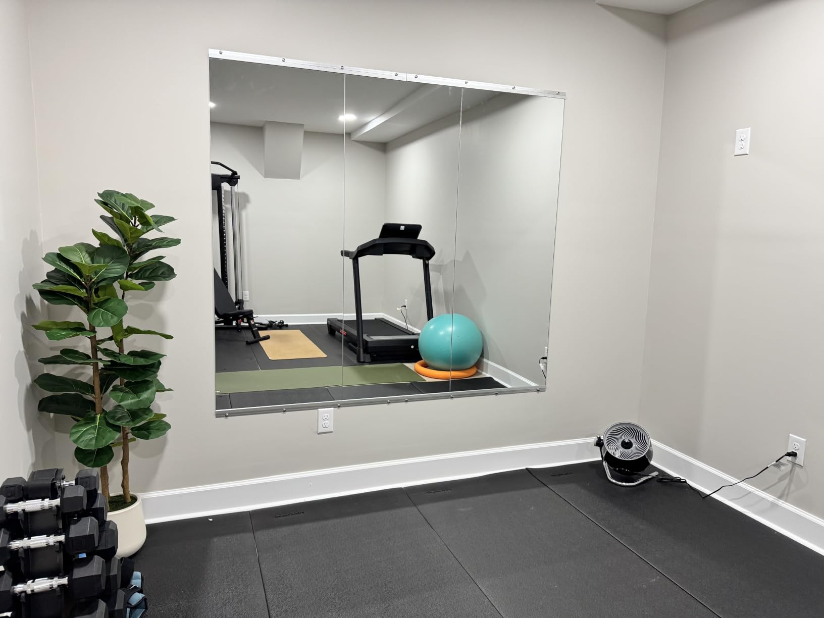 pertetey 56 x 16 in Home Gym Mirrors, Frameless, 2-Pack customer photo 2
