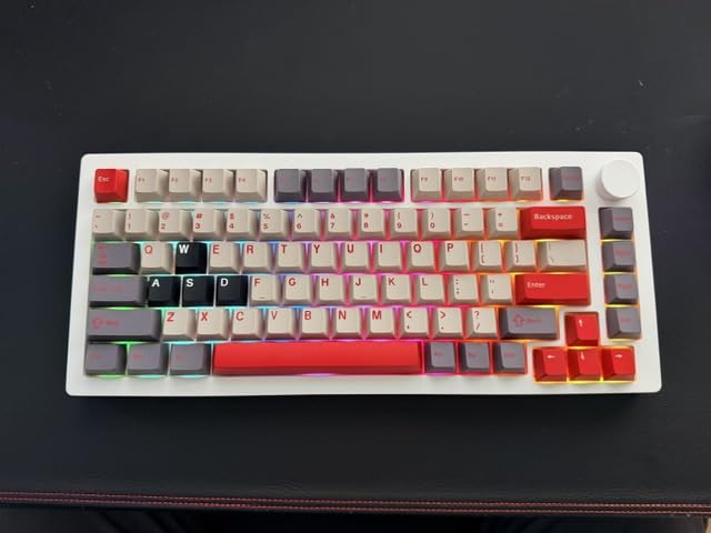 Womier Double Shot PBT Keycaps Set Custom Cherry Profile Key caps | Keycaps 138 Keys 60 65 75 100 Percent for 61/64/68/84/87/100/104/108 Retro Gaming Mechanical Keyboard, Brown Gray customer photo 2