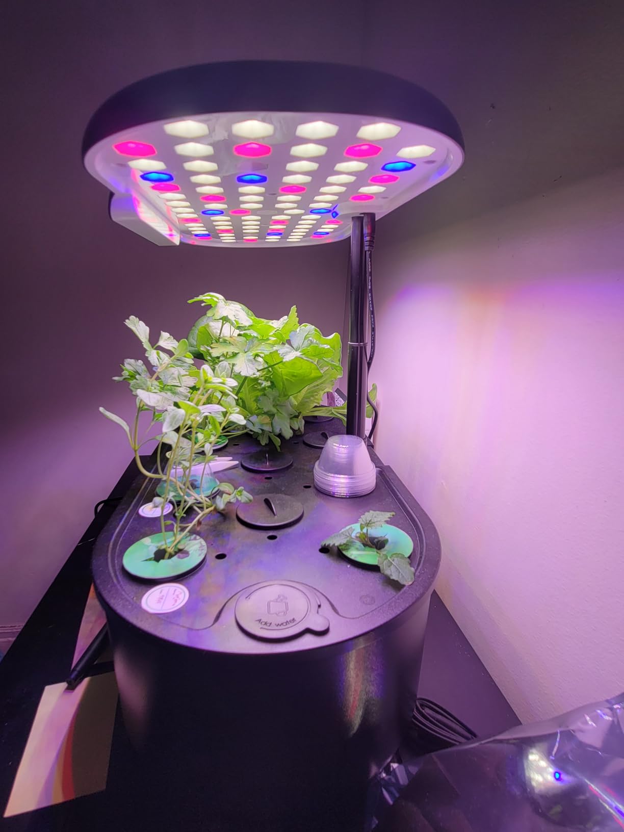 Ahopegarden Hydroponics Growing System Kit: 12 Pods Temp & Humidity Monitor customer photo 1
