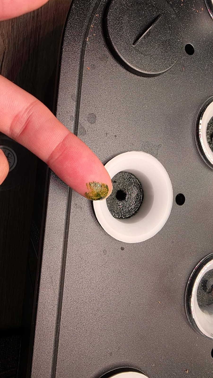Ahopegarden Hydroponics Growing System Kit: 12 Pods Temp & Humidity Monitor customer photo 2