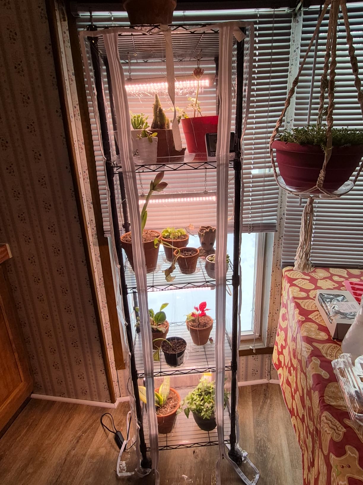 Indoor Greenhouse with Grow Lights 40W , 15.7