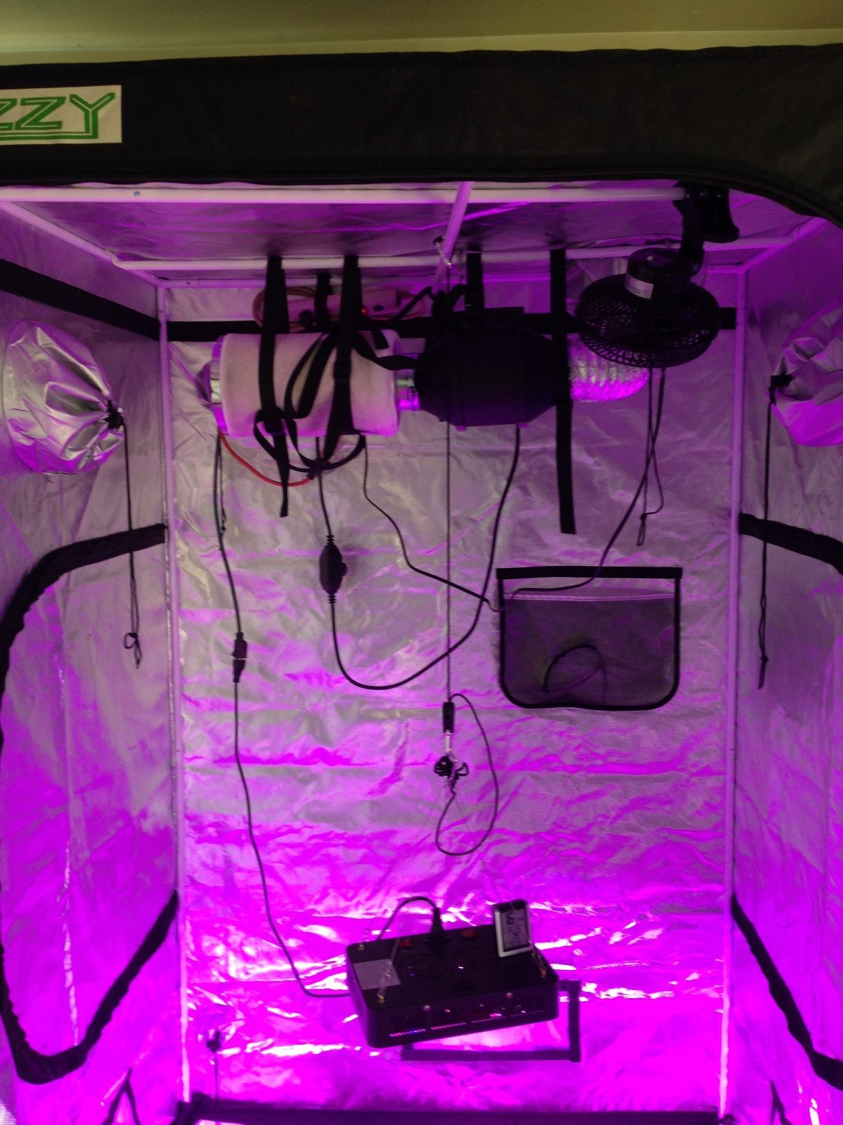 Zazzy Grow Tent 18