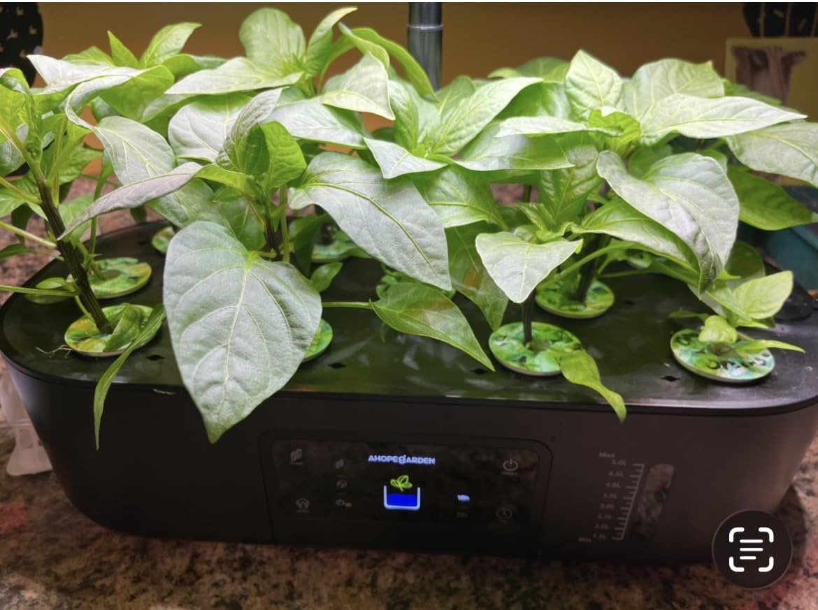 Ahopegarden Hydroponics Growing System Kit: 12 Pods with LCD Control Panel customer photo 1
