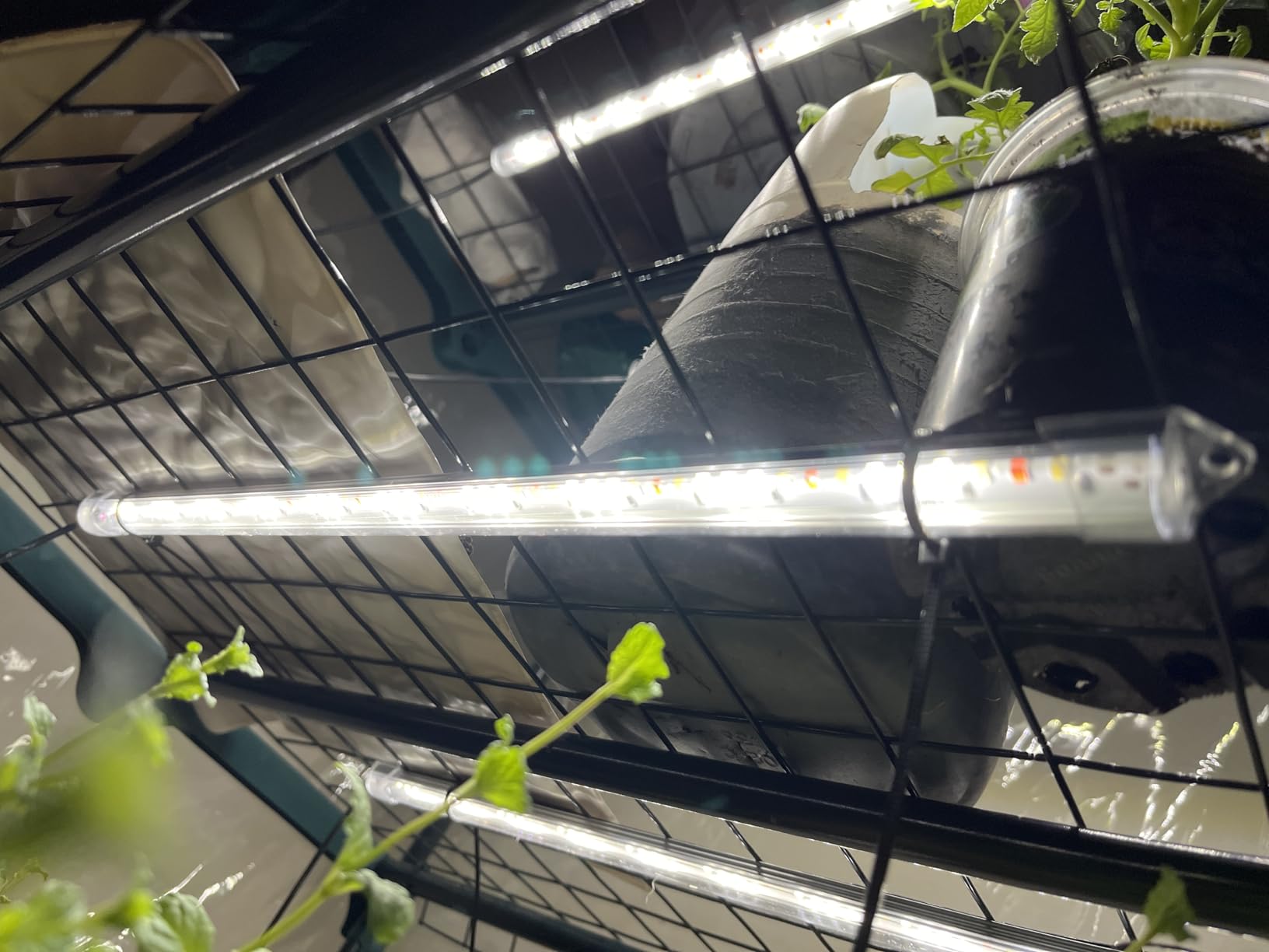 SDOVUERC 16'' 6 Bars Grow Light Strips for Indoor Shelves Plants Growing. customer photo 1