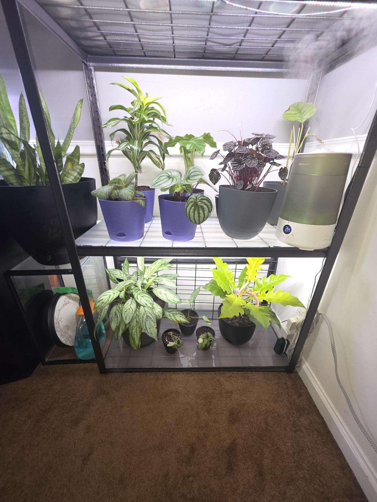 SDOVUERC 16'' 6 Bars Grow Light Strips for Indoor Shelves Plants Growing. customer photo 2
