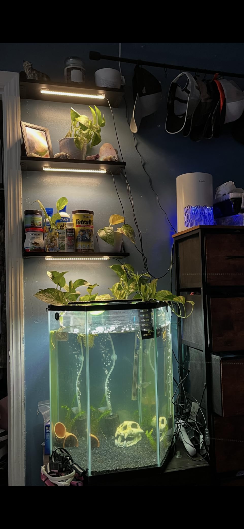 LED Grow Light Strips, Grow Lights for Indoor Plants Full Spectrum 3000K, Plant Light Bar with 3/9/12H Timer, 10 Dimmable Levels for Seedling Succulent,Best Match for Plant Shelf(3 Head×2 Pack) customer photo 1