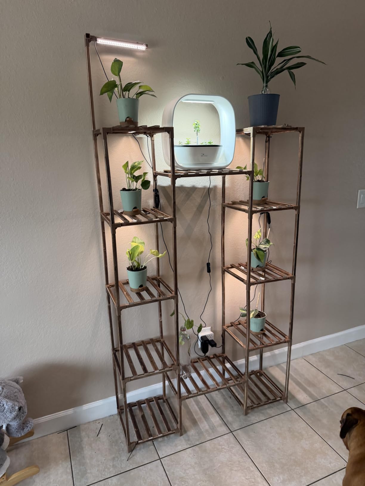 LED Grow Light Strips, Grow Lights for Indoor Plants Full Spectrum 3000K, Plant Light Bar with 3/9/12H Timer, 10 Dimmable Levels for Seedling Succulent,Best Match for Plant Shelf(3 Head×2 Pack) customer photo 2
