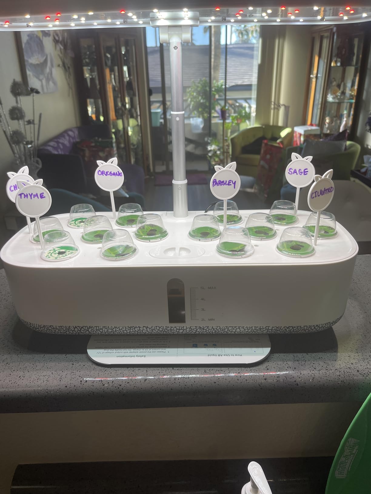 Hydroponics Growing System with LED Grow Light, 14 Pods Indoor Herb Garden Full Spectrum Rotatable Light Panel, Auto On Off Timing 12 14 16Hrs, 5L Water Tank, Harvest Fresh Basil Tomato (Black) customer photo 2