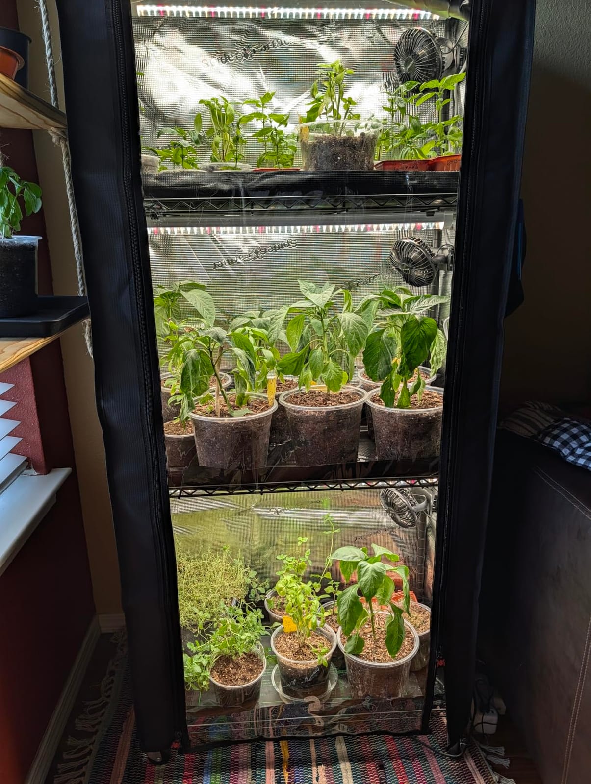 Spider Farmer 4 Tier Plant Stand with Grow Lights Indoor Greenhouse Shelf customer photo 1