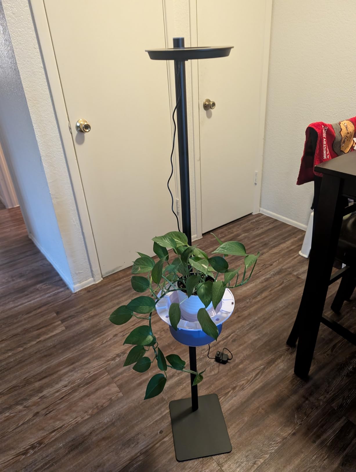 Indoor Plant Hydroponics Growing System Tower Kit with Grow light,Herb Vegetable Indoor Gardening System with Standing Floor Tall LED Grow Lights,Height Adjustable with Stand,Timer,Trellis customer photo 2