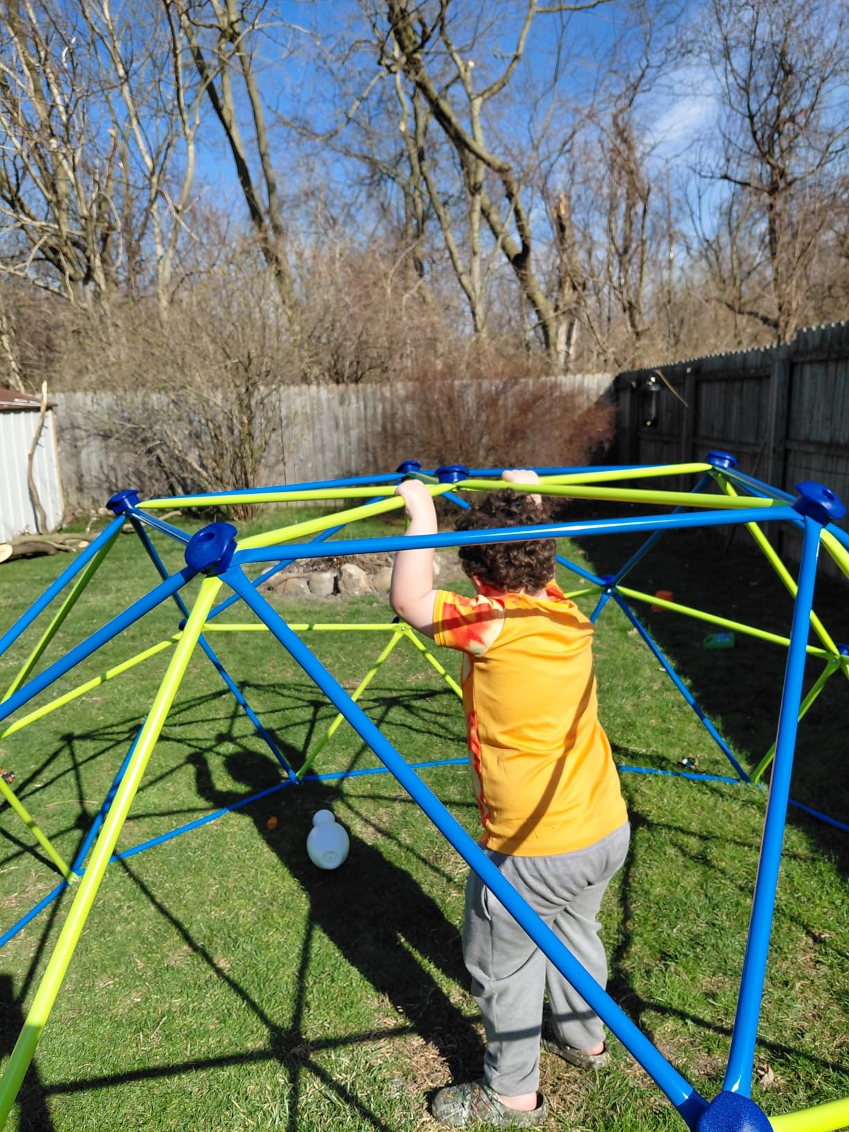 Amictoy Climbing Dome with Hammock and Swing, 10FT Backyard Jungle Gym customer photo 2