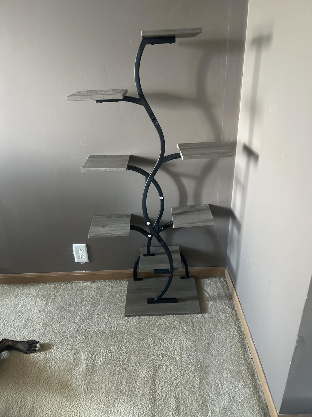 Plant Stand Indoor with Grow Light - 8 Tiered Corner Plant Shelf Indoor customer photo 2