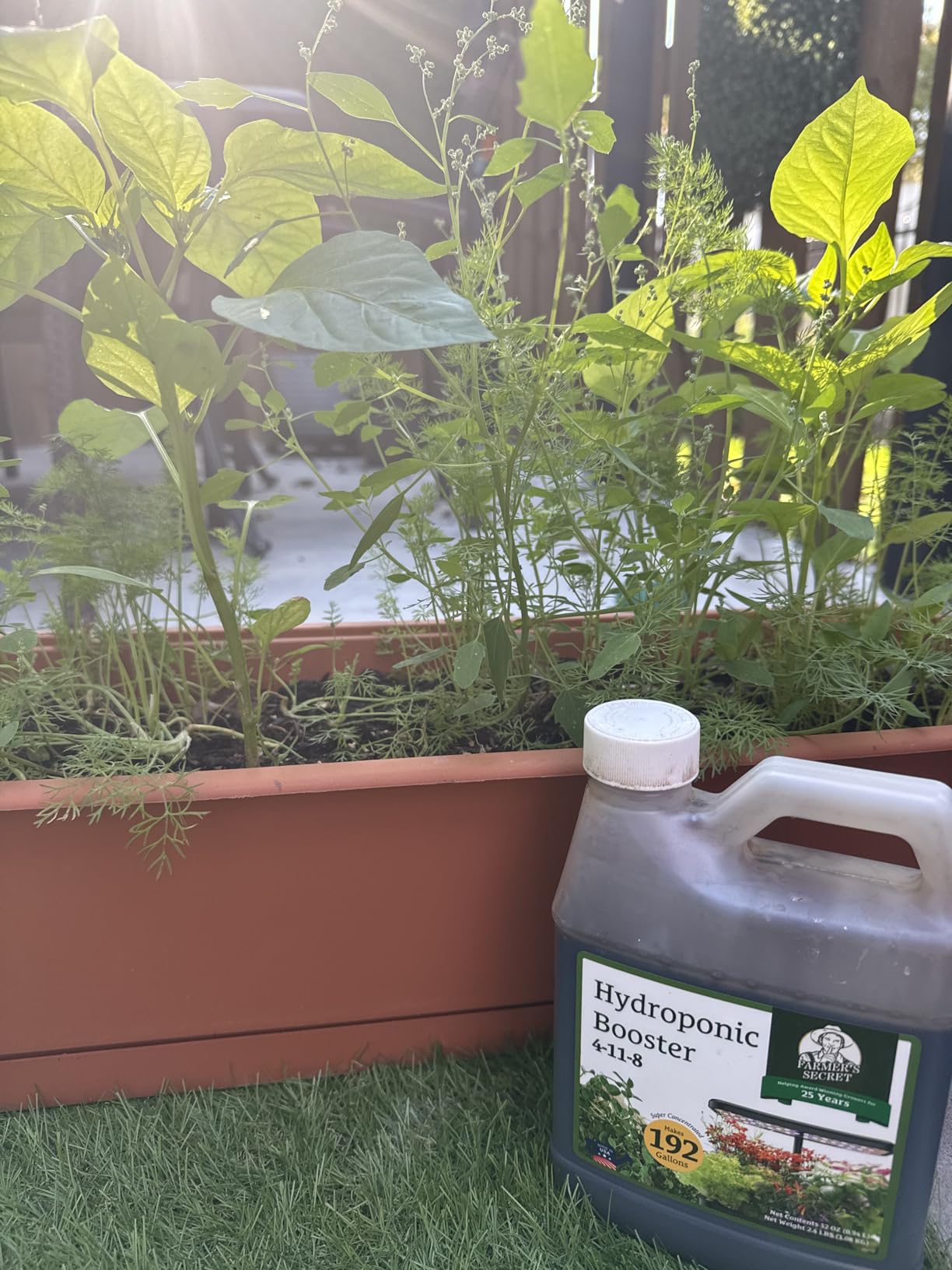 Farmer's Secret Hydroponic Booster Fertilizer - Super Concentrated 4-11-8 Formula - Use with Any Hydroponic or Aeroponic System - Great for Herbs, Veggies, Fruits, and More (32oz) customer photo 2