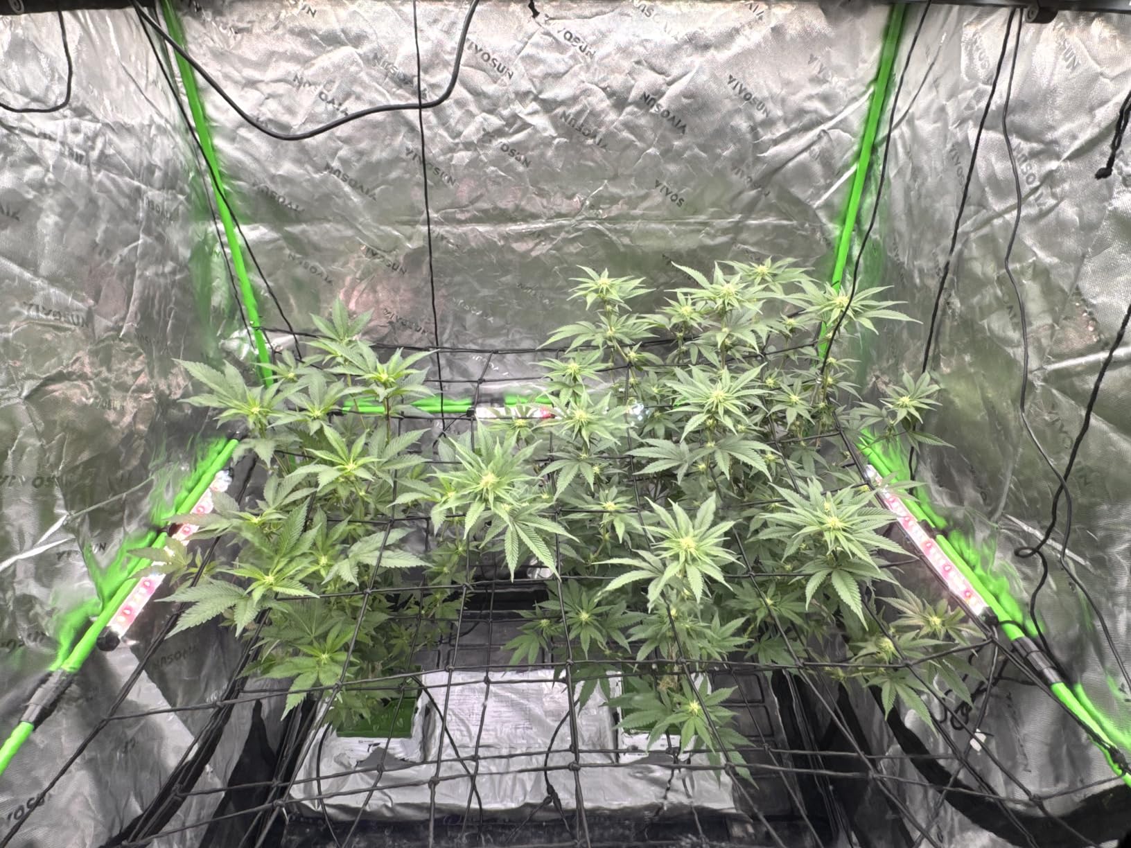 VIVOSUN LumaRay LED Grow Light Bars 16”(4-Bar) Full Spectrum Side Lighting customer photo 2