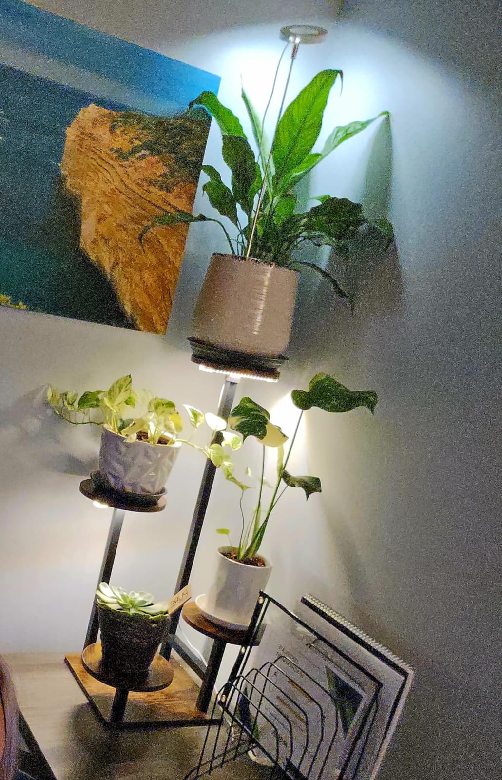 Homsorout Plant Stand Indoor with Grow Light,4-Tiered Tall Plant Stand Indoor, Metal Plant Shelf with Adjustable Light, Ideal for Living Room, Garden, Patio (Black Brown) customer photo 2
