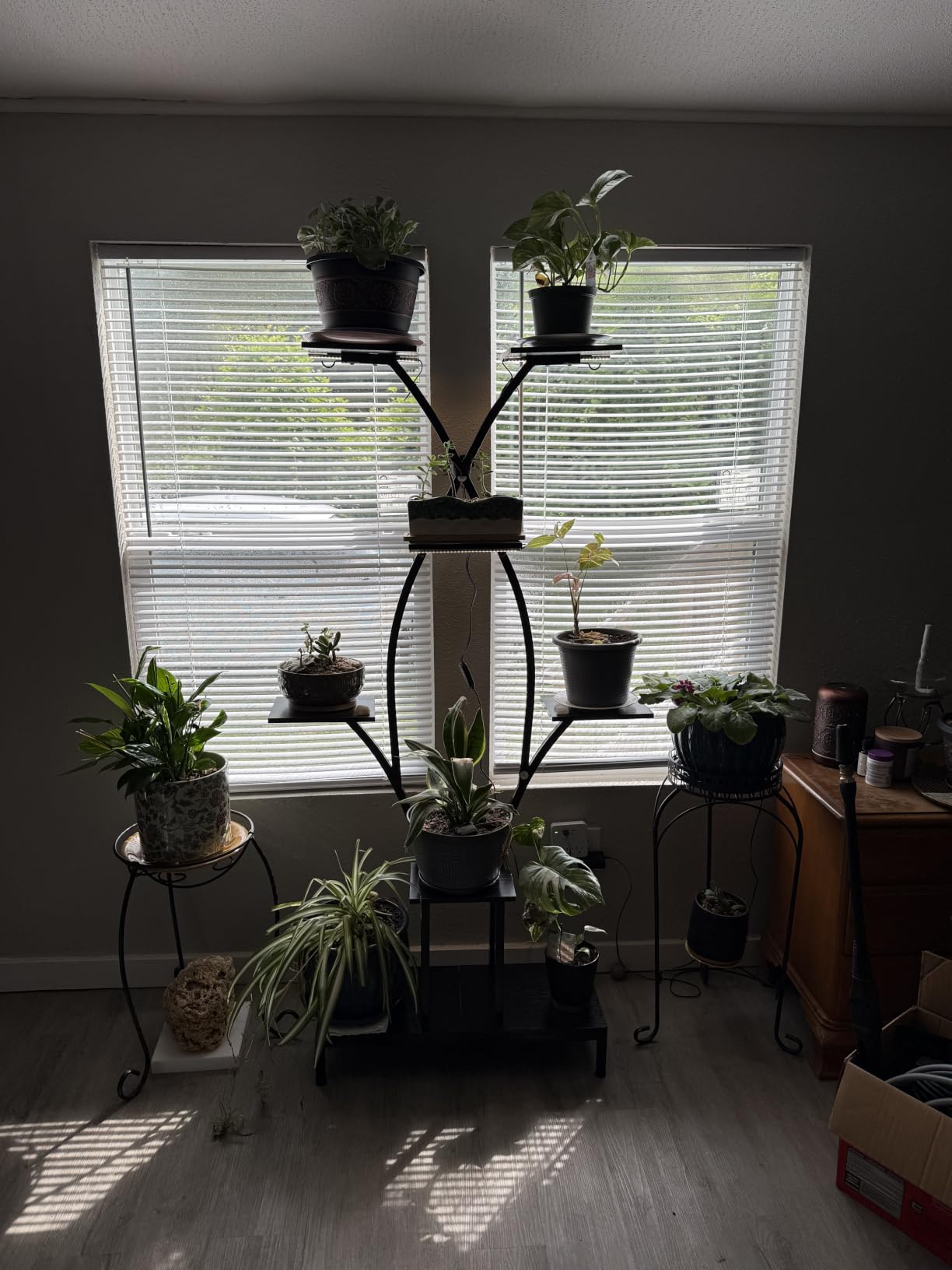 Plant Stand Indoor with Grow Lights - 7 Tiered Metal Corner Shelf for Multiple Plants, 64.2
