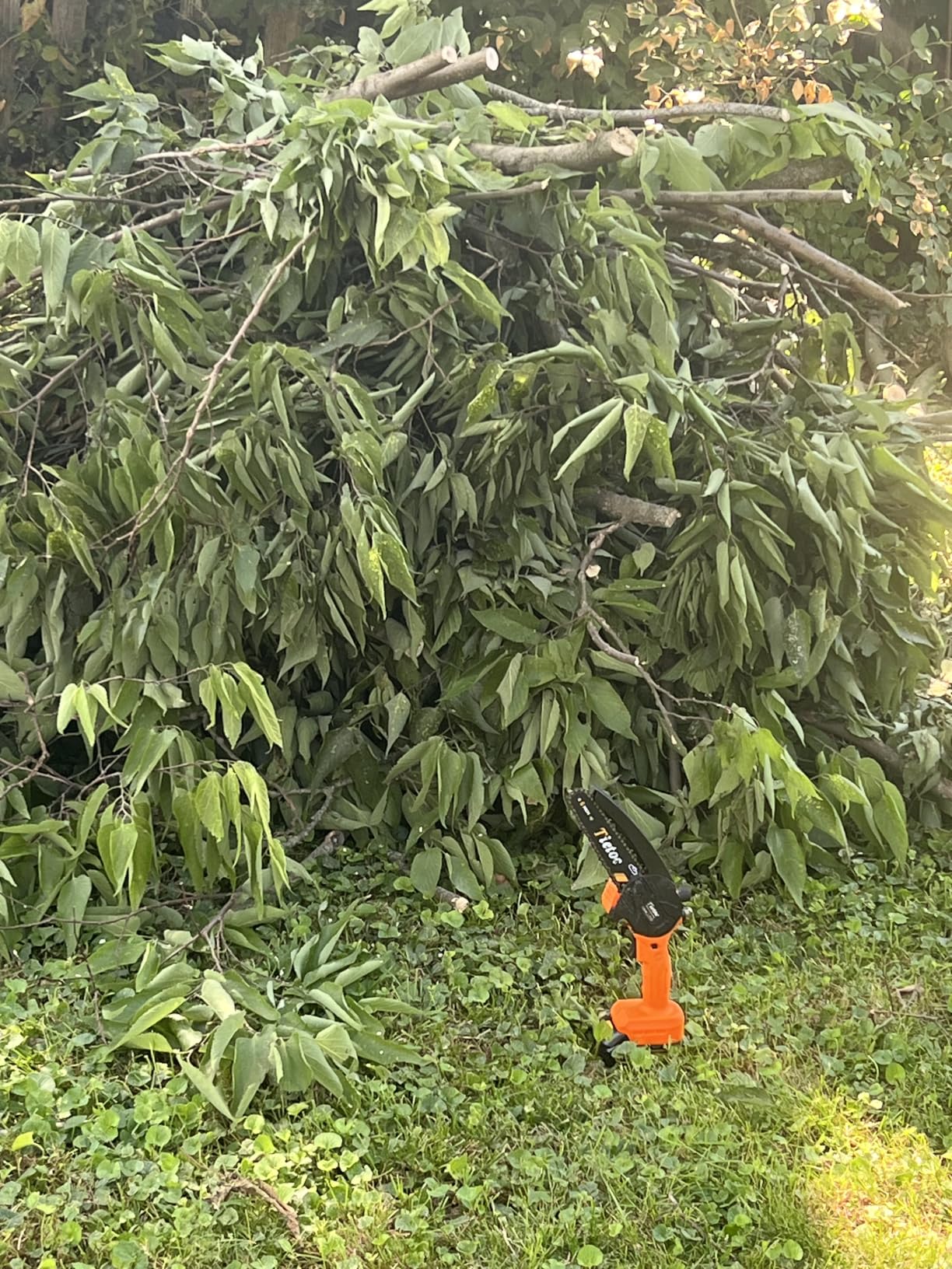 Tietoc Mini Chainsaw 8 inch Cordless with 2x 4000mAh Batteries, Battery Powerd Chain saw with Oiler, Lightweight Handheld Saw for Hous customer photo 2
