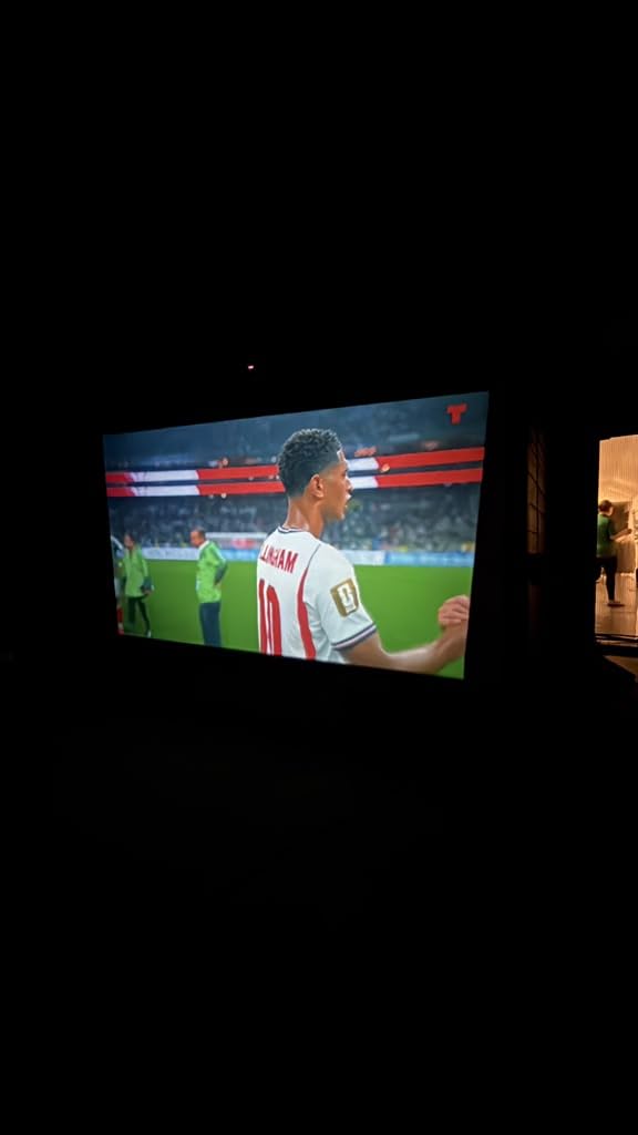 STWUI Outdoor Projector Screen with Stand - 120 Inch Portable Projector Screen Indoor and Outdoor Projector Screens 16:9 4K HD Wrinkle Free Lightweight Movie Screen with Carry Bag,Enioy Movie Nights customer photo 1