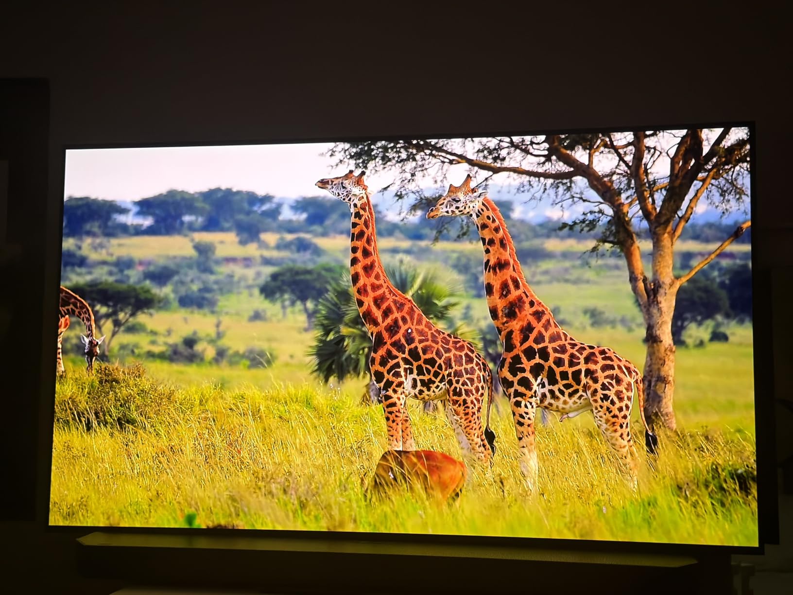Samsung 65-Inch Class OLED S90F 4K Smart TV (2025 Model) NQ4 AI Gen3 Processor Upscaling Pro HDR +, Motion Xcelerator 144Hz, Vision Alexa Built-in customer photo 2