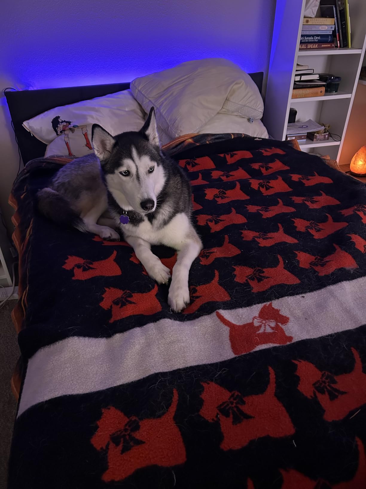 Furnulem Full Size Bed Frame with Upholstered Headboard & 2 Storage Drawers customer photo 1