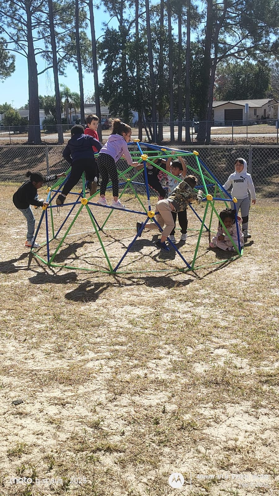 GVDV 10 FT Climbing Dome with Hammock, Jungle Gym for Kids, Green & Blue customer photo 2