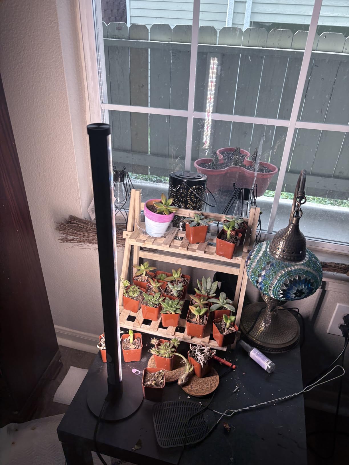 Barrina T1S Vertical Grow Light, 65W Full Spectrum, 5FT-5.6FT Height, Black customer photo 2