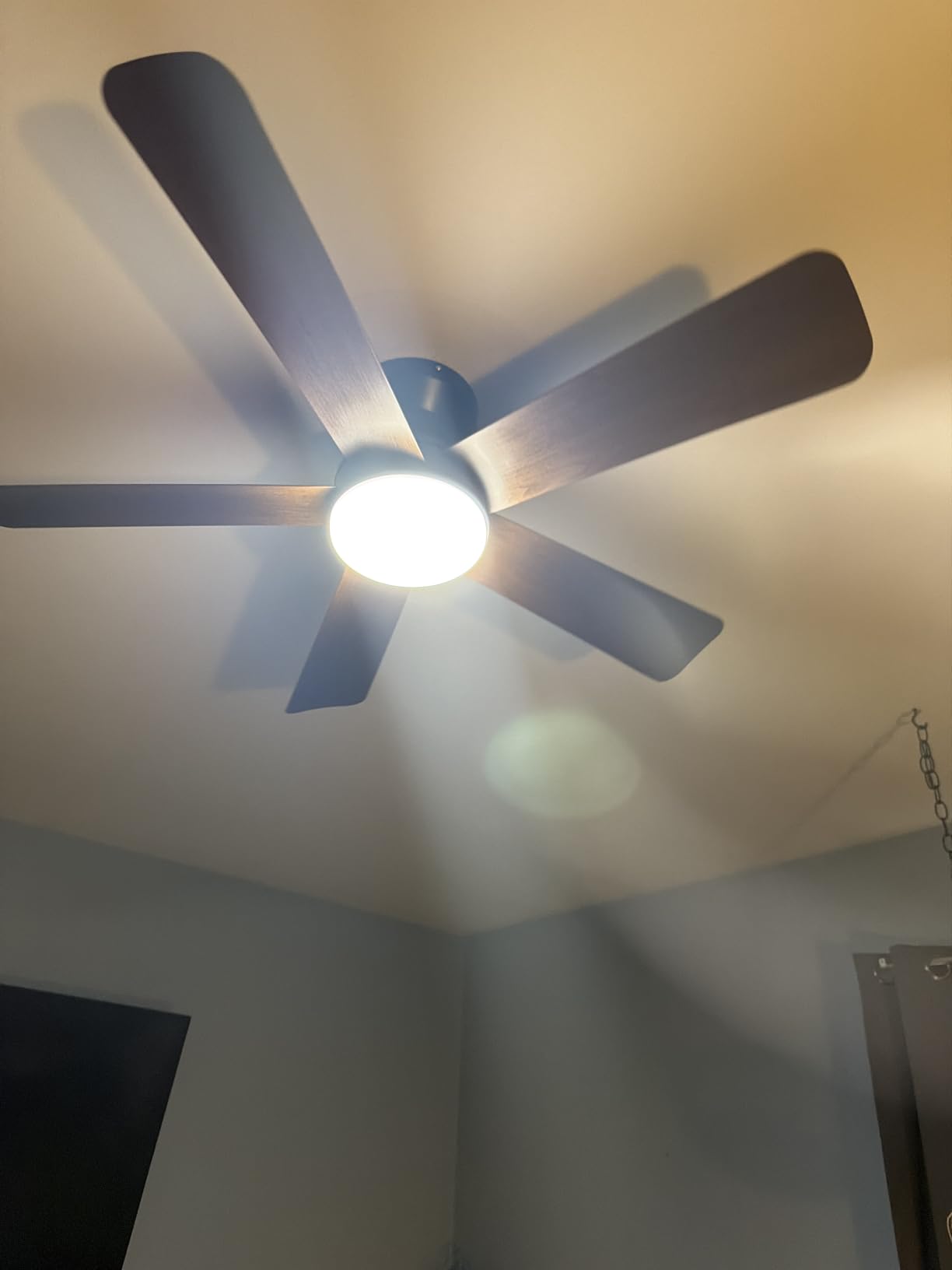 Depuley Modern Ceiling Fan with Light: 42-Inch Black Small Fans for Bedroom Indoor Outdoor - Dimmable Low Profile Ceiling Fans with Remote Control Flush Mount 5 Reversible Black Blades 6 Speeds Timer customer photo 1
