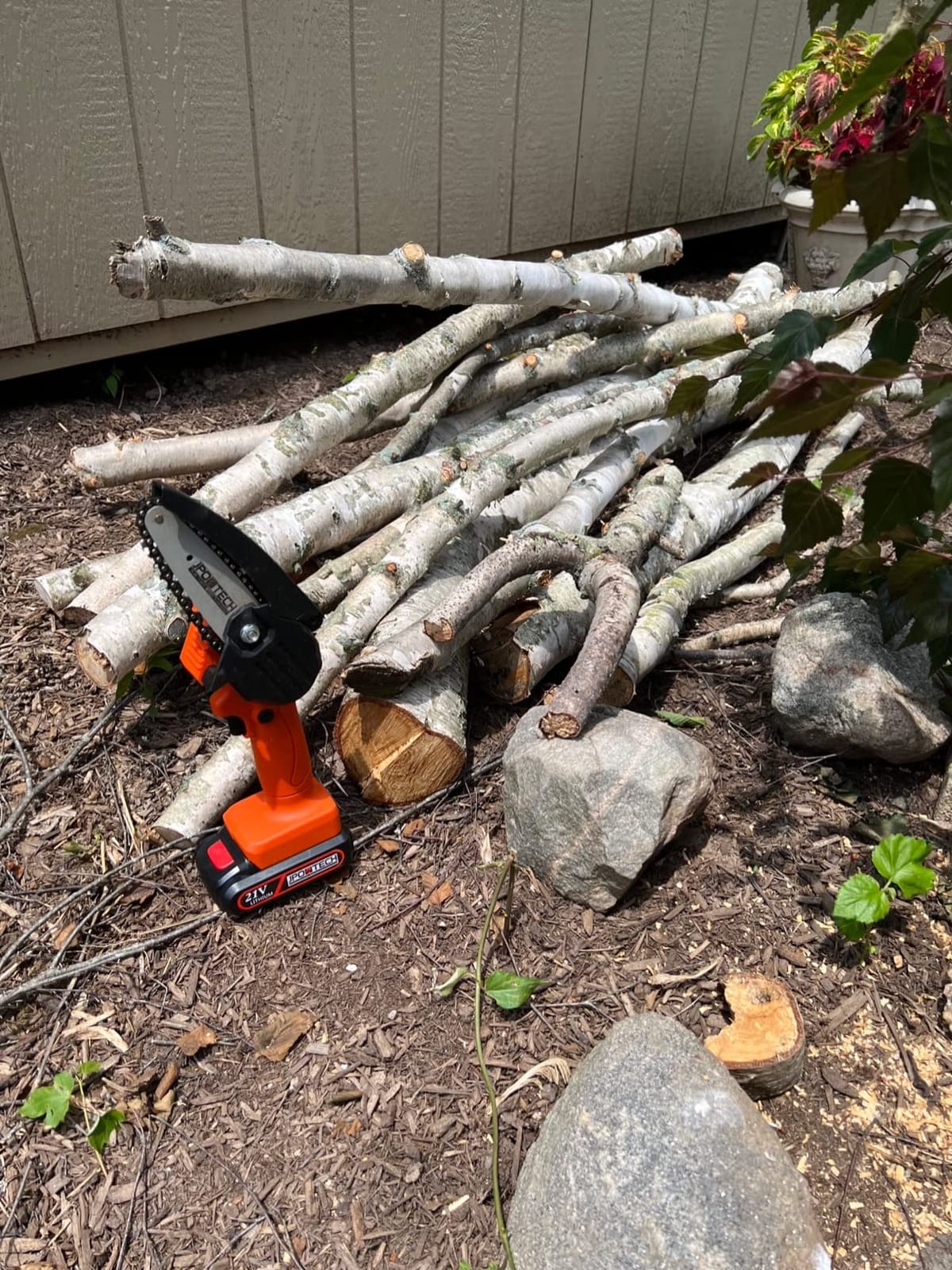 2-in-1 6 IN Electric Pole Saw & Mini Chainsaw, Cordless Battery Pole Saws for Tree Trimming, 21V Cordless Battery Chainsaw Powered with 2 Batteries, Lightweight Tree Trimming Tool for Small Branches customer photo 2