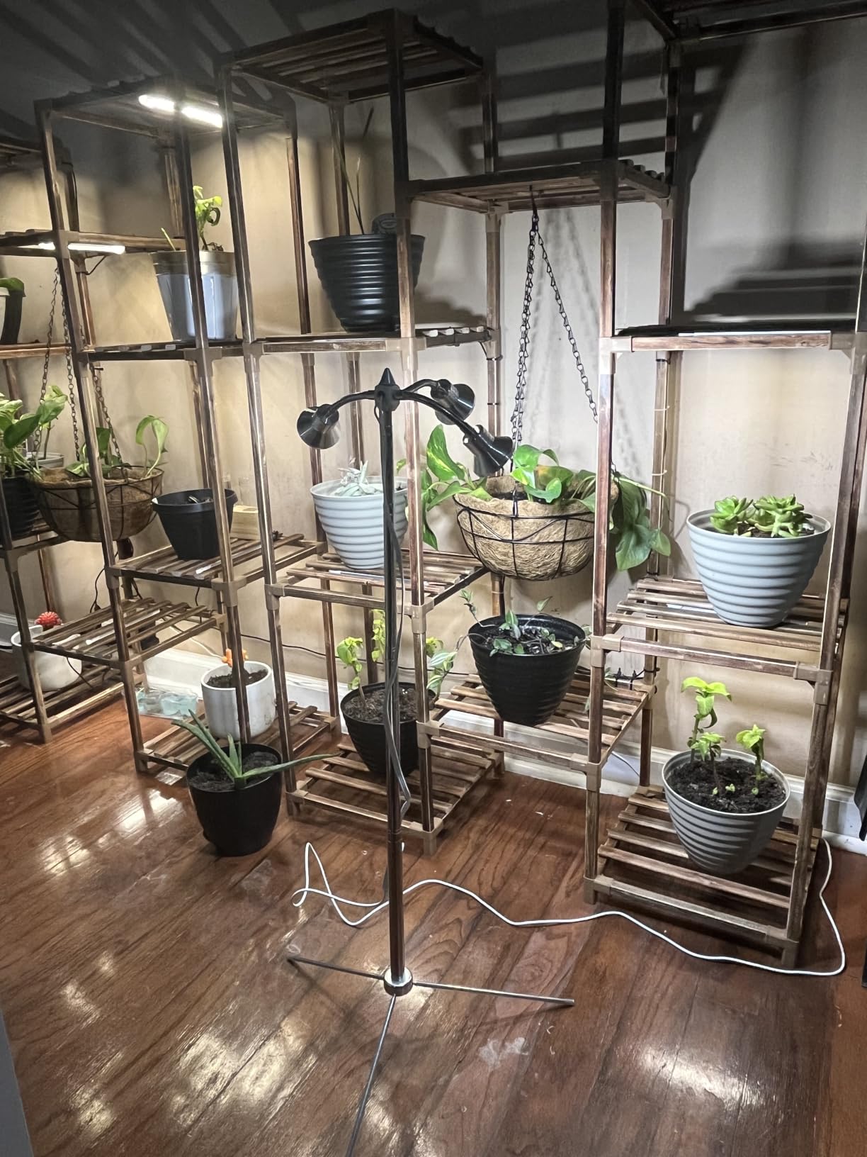 Full Spectrum Grow Lights for Indoor Plants 15-62 Inches Height Adjustable Aluminum Alloy Plant Growing Lamps with Detachable Tripod Stand, Auto On/Off Timer (Full Spectrum, Three Heads) customer photo 2