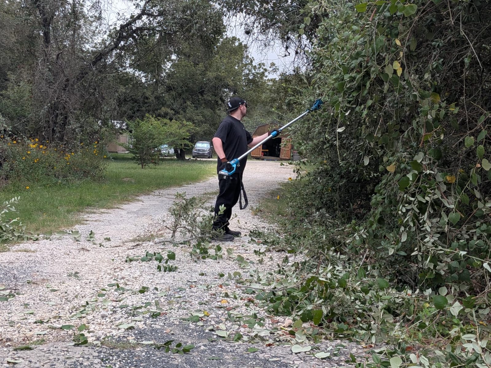 SEESII 10-Inch 2-in-1 Cordless Pole Saw & Mini Chainsaw,2 x 4.0Ah Batteries customer photo 2