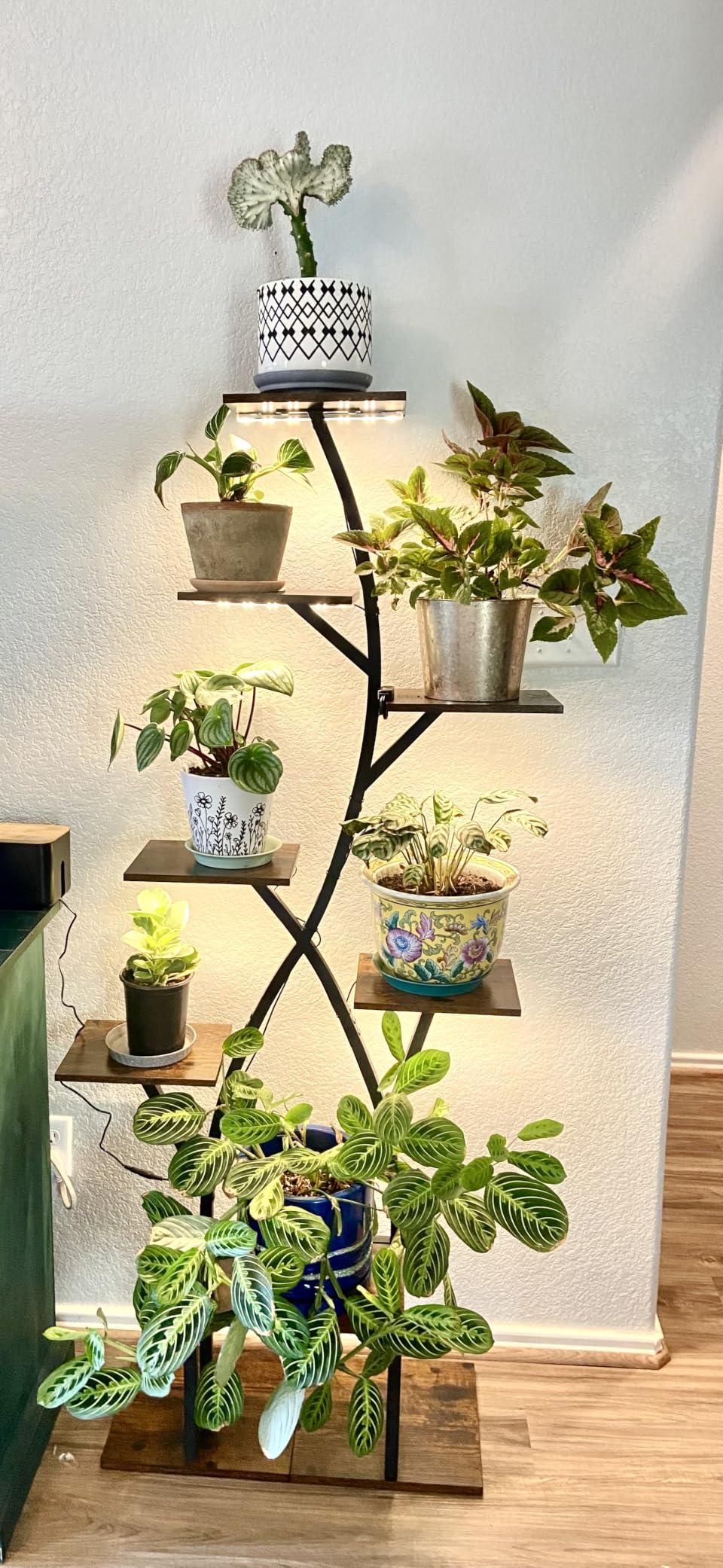 Plant Stand Indoor with Grow Lights 65