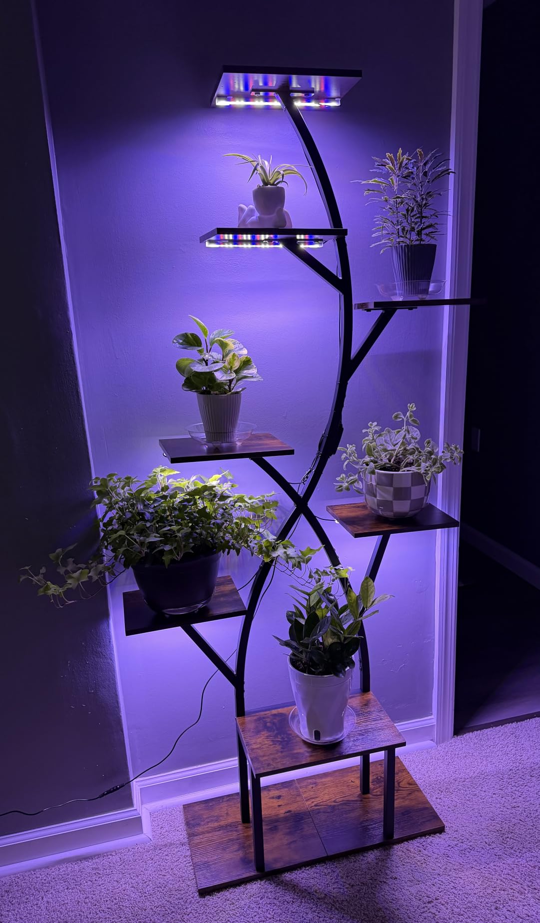 Plant Stand Indoor with Grow Lights 65