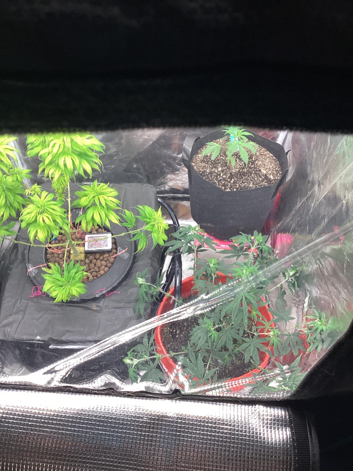 VEVOR Aquarium Chiller 52Gal 1/10HP Quiet Cooler with Titanium Evaporator customer photo 2