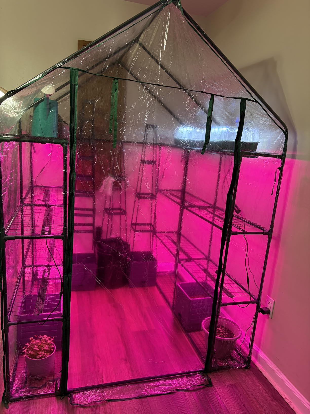 Bstrip Indoor Greenhouse with Grow Light, 5-Tier Large Greenhouse Cabinet customer photo 1