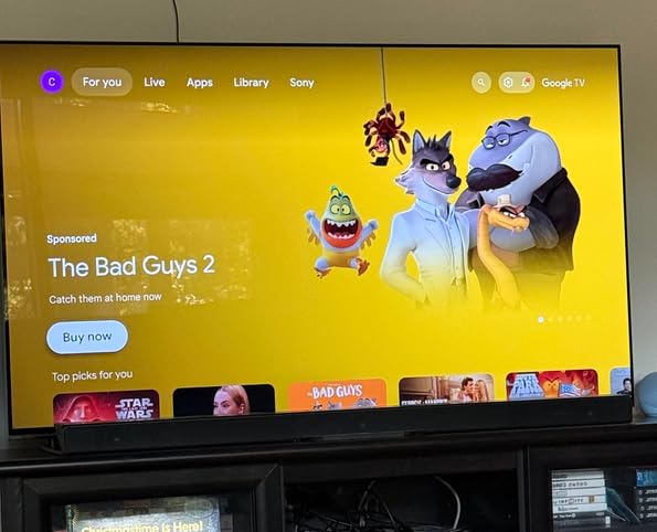 Sony 55 Inch BRAVIA XR8B OLED 4K HDR Smart Google TV (K-55XR8B) customer photo 1