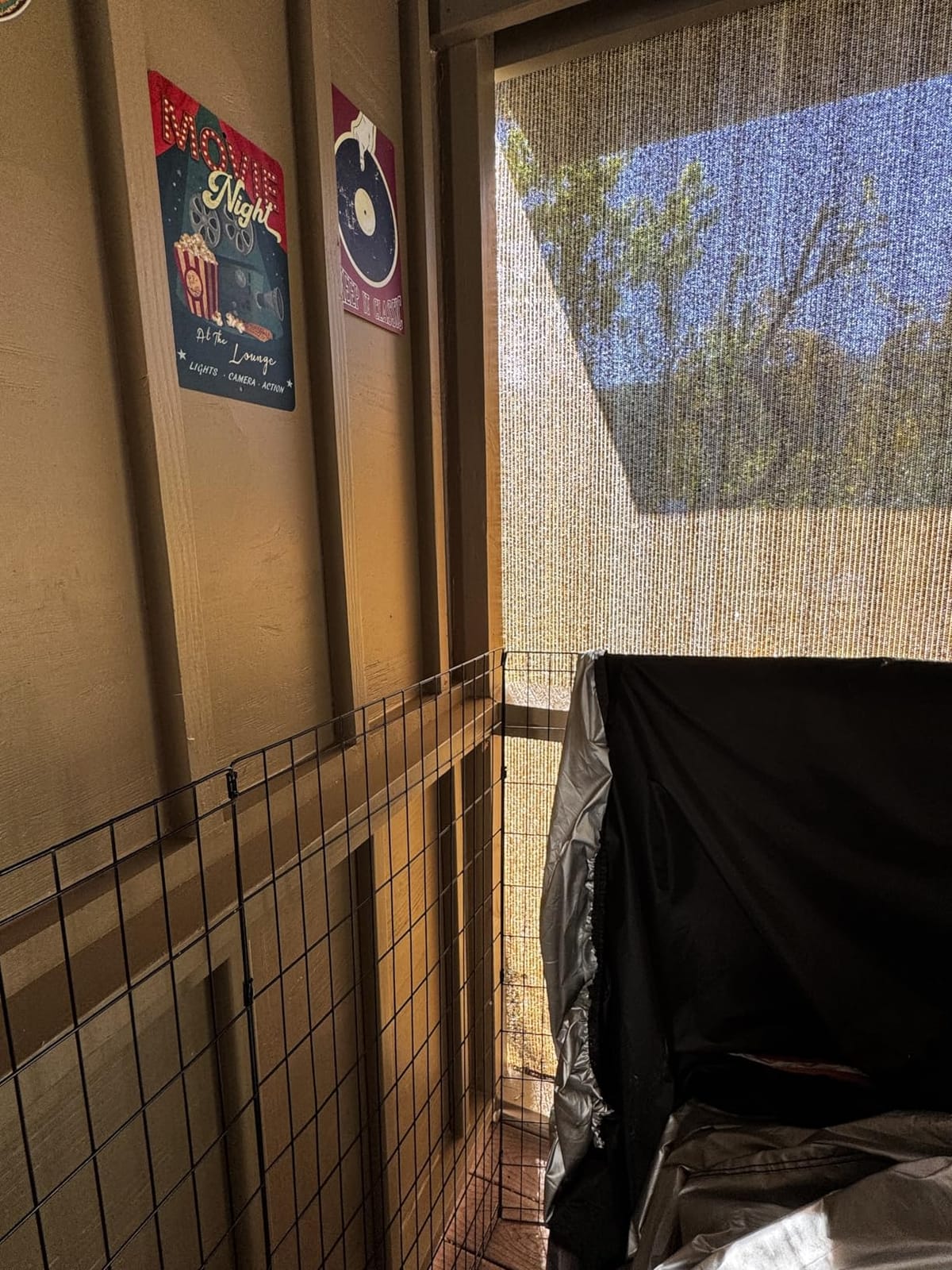 Outdoor Roller Shade,Patio Blind Roll Up Shade Exterior Cordless-10'W x 8'H customer photo 1