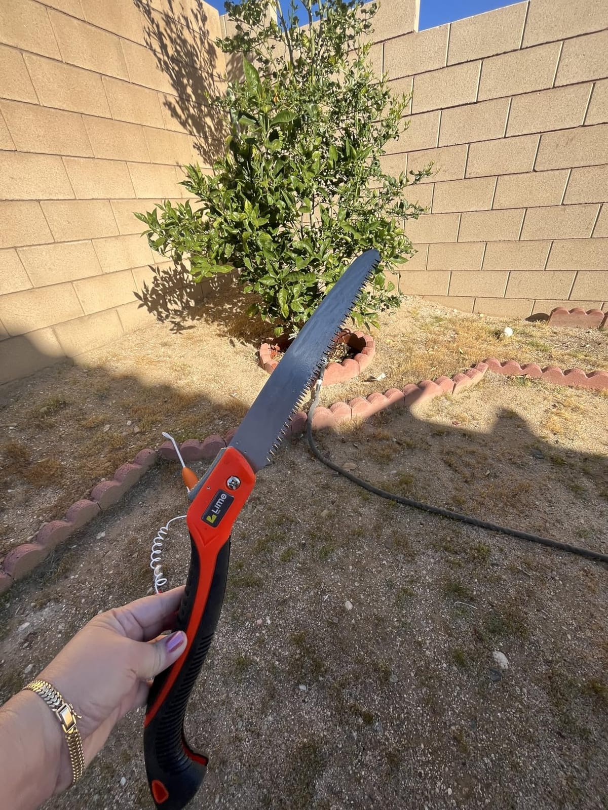 Folding Camping saw 14 Inch - Heavy Duty Pruning Saw with Triple-Cut SK5 Blade, 7 TPI Razor Teeth for Tree Trimming, Wood Cutting, Camping, Bushcraft, and Gardening customer photo 1