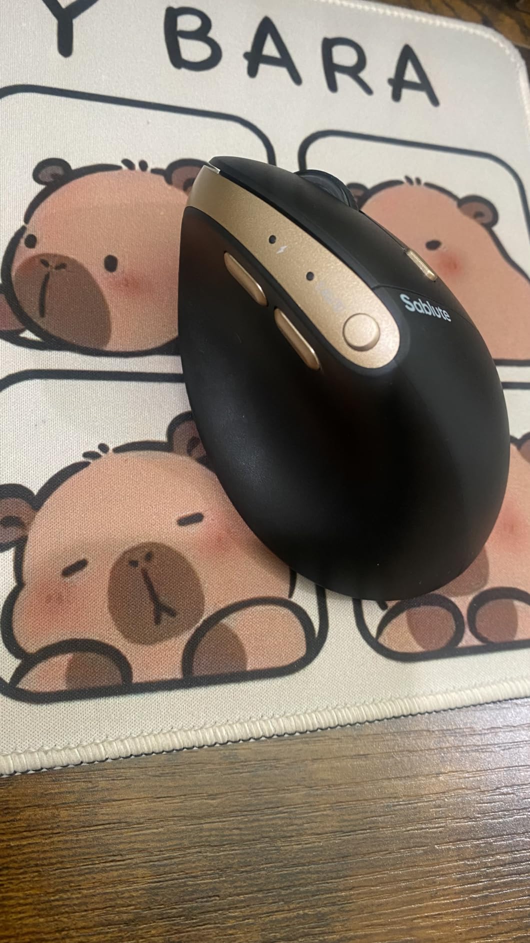 SABLUTE MAM3 Ergonomic Mouse, Wireless Mouse for Small/Medium Hands customer photo 1