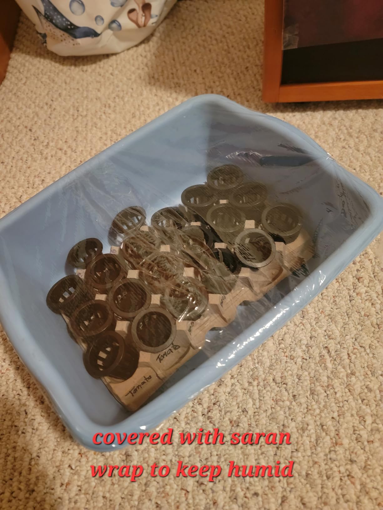 SPECILITE Hydroponics Growing System Kit with Grow Light, 5 Tiers 20 Pods customer photo 1